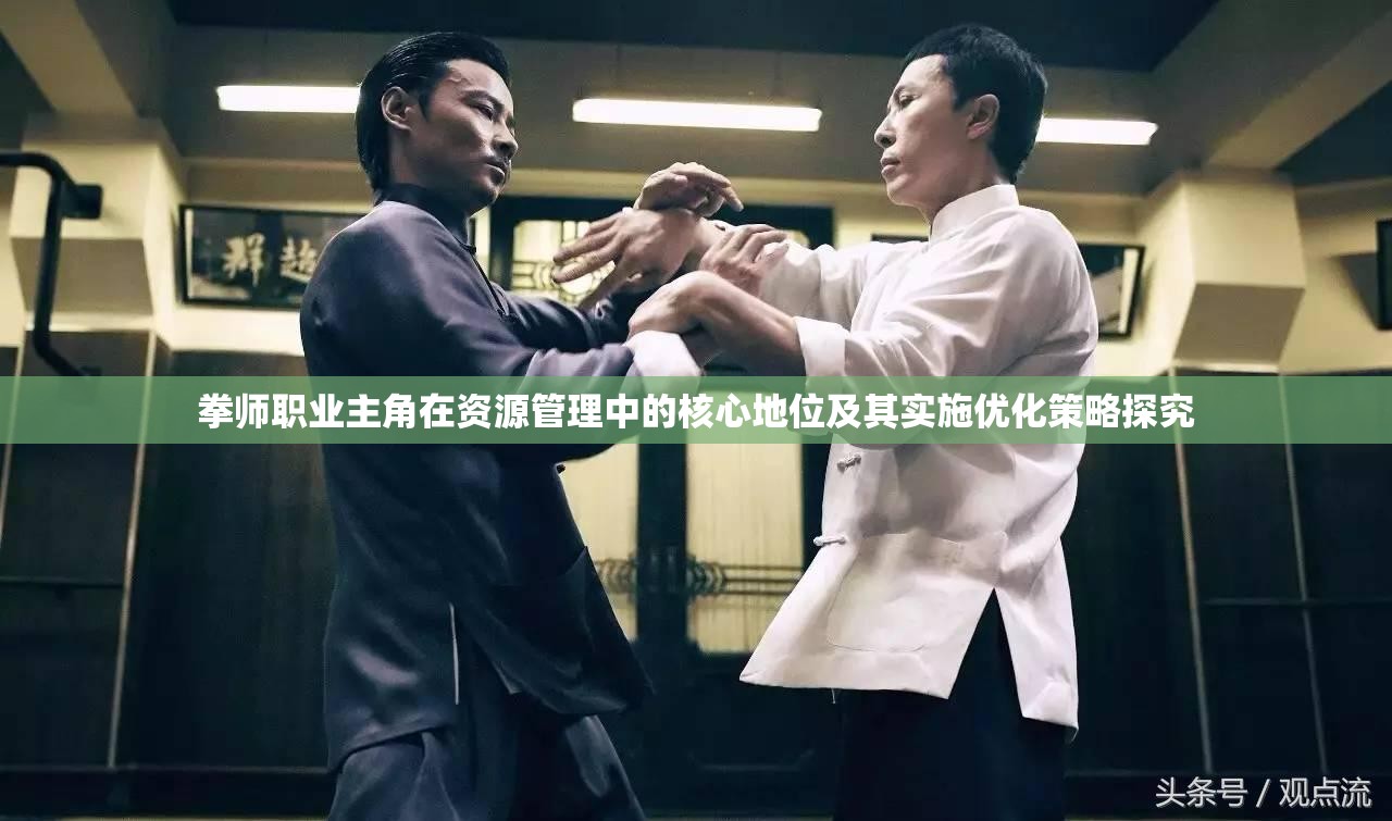拳师职业主角在资源管理中的核心地位及其实施优化策略探究