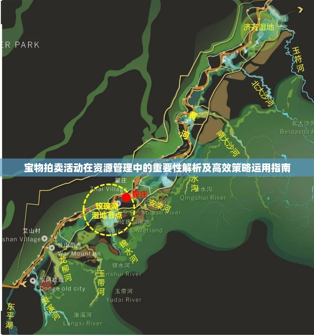 宝物拍卖活动在资源管理中的重要性解析及高效策略运用指南