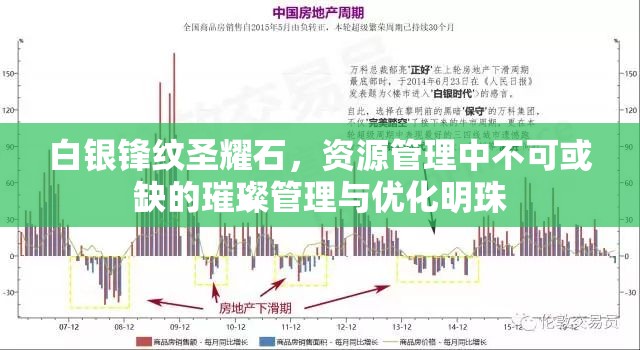 白银锋纹圣耀石，资源管理中不可或缺的璀璨管理与优化明珠