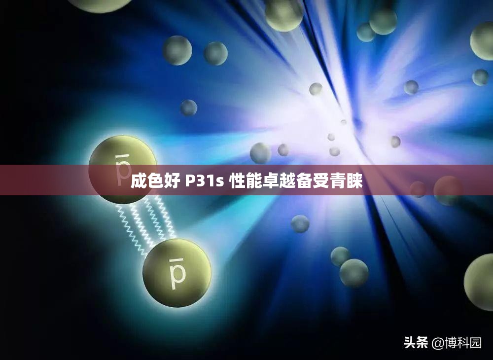 成色好 P31s 性能卓越备受青睐