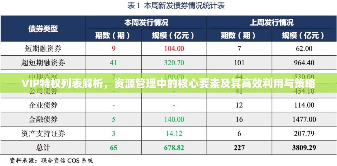 VIP特权列表解析，资源管理中的核心要素及其高效利用与策略