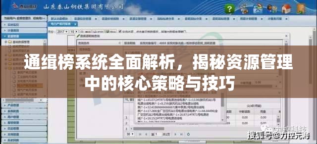 通缉榜系统全面解析，揭秘资源管理中的核心策略与技巧