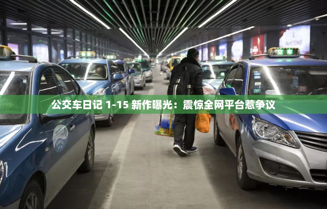 公交车日记 1-15 新作曝光：震惊全网平台惹争议