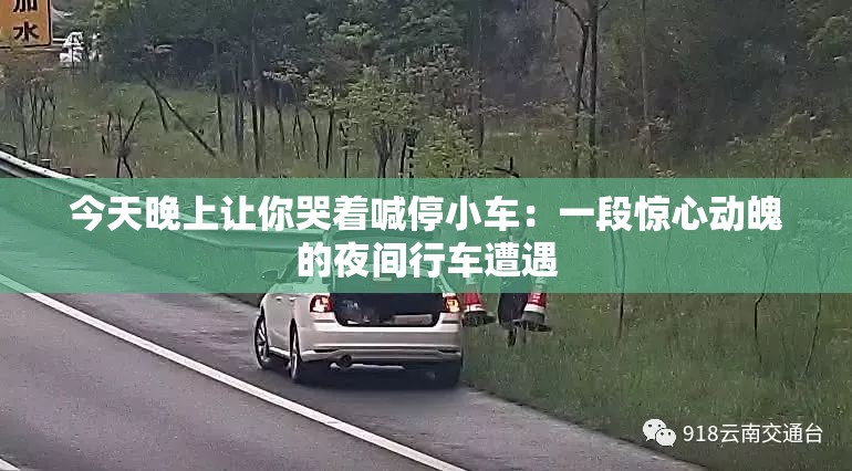 今天晚上让你哭着喊停小车：一段惊心动魄的夜间行车遭遇