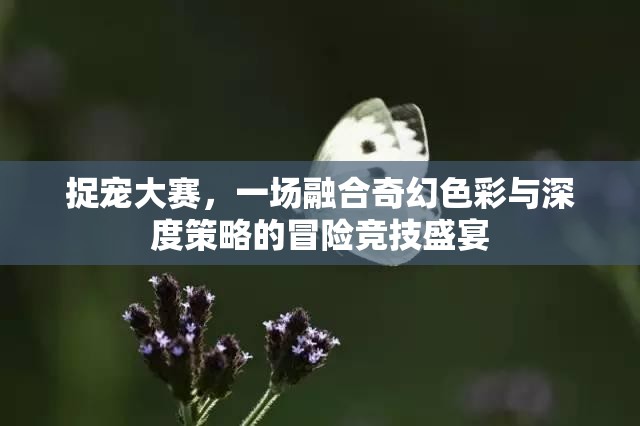 捉宠大赛，一场融合奇幻色彩与深度策略的冒险竞技盛宴