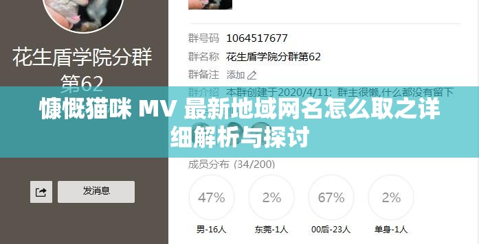 慷慨猫咪 MV 最新地域网名怎么取之详细解析与探讨