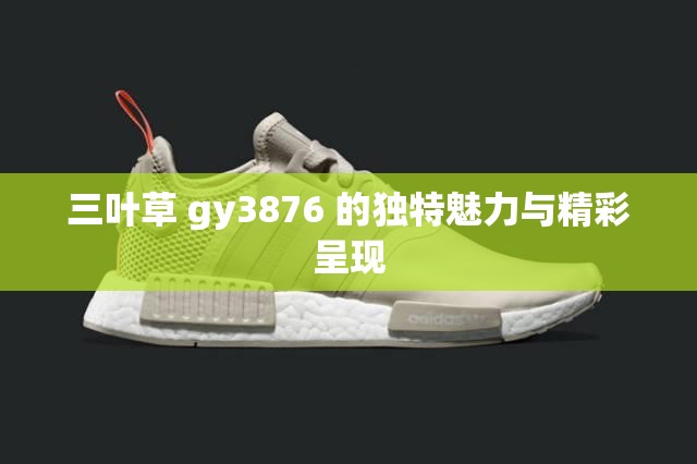 三叶草 gy3876 的独特魅力与精彩呈现