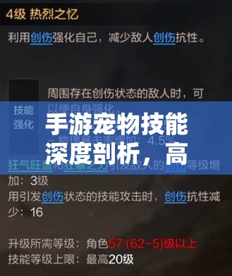 手游宠物技能深度剖析，高级法术连击的资源管理、技巧运用及价值最大化策略