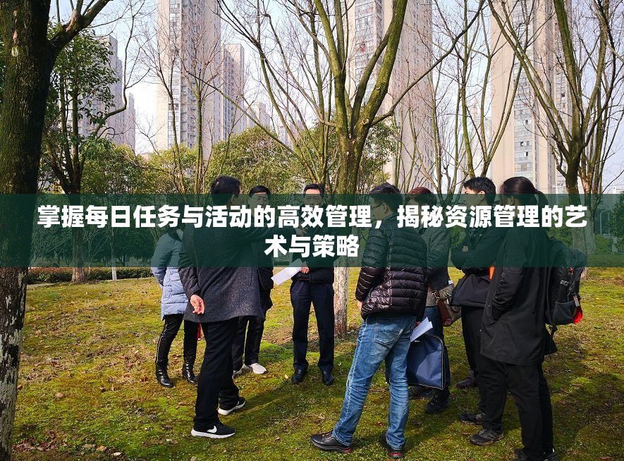 掌握每日任务与活动的高效管理，揭秘资源管理的艺术与策略