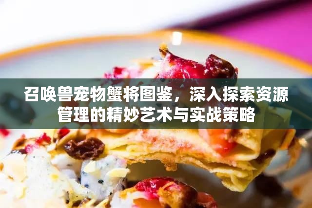 召唤兽宠物蟹将图鉴，深入探索资源管理的精妙艺术与实战策略