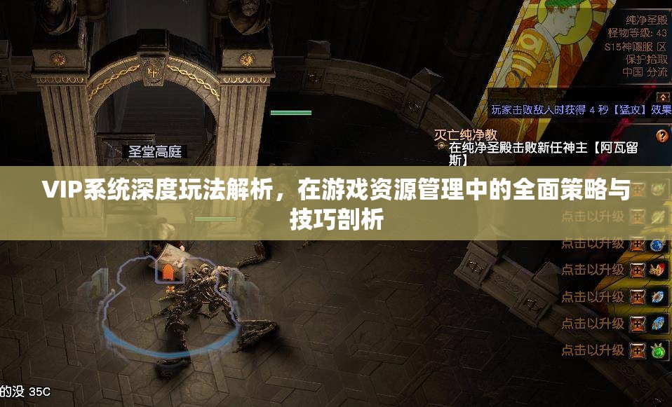 VIP系统深度玩法解析，在游戏资源管理中的全面策略与技巧剖析