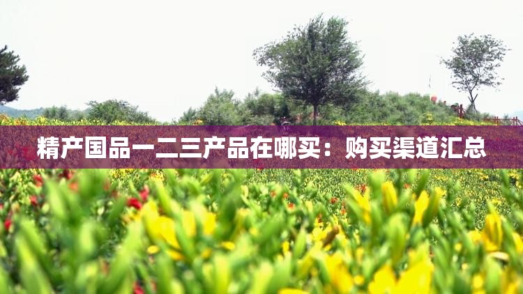 精产国品一二三产品在哪买：购买渠道汇总