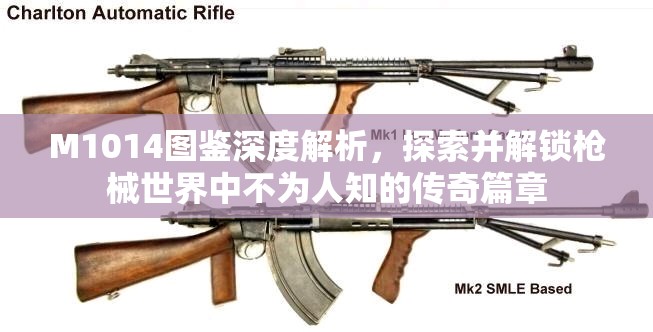 M1014图鉴深度解析，探索并解锁枪械世界中不为人知的传奇篇章