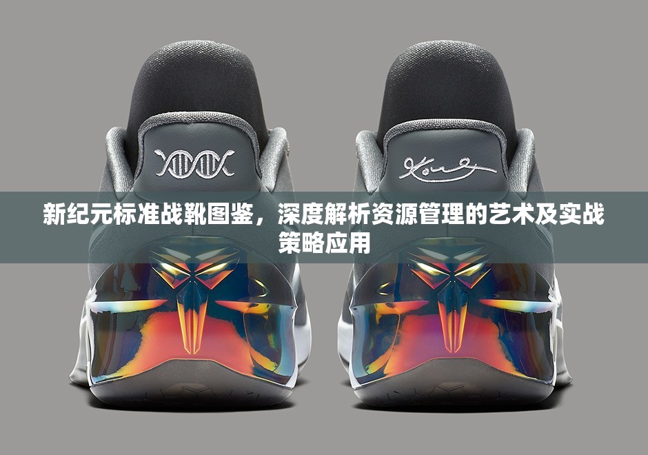 新纪元标准战靴图鉴，深度解析资源管理的艺术及实战策略应用