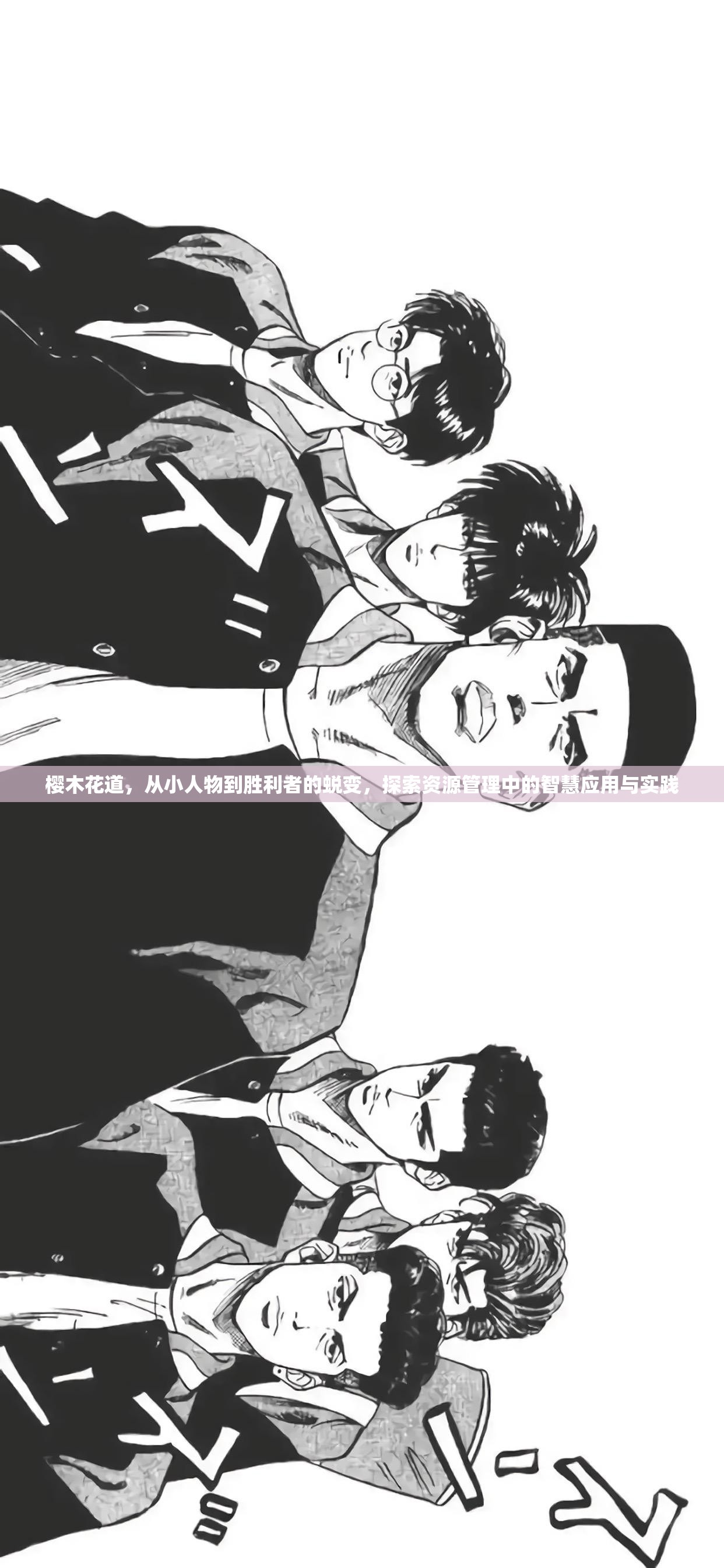 樱木花道，从小人物到胜利者的蜕变，探索资源管理中的智慧应用与实践