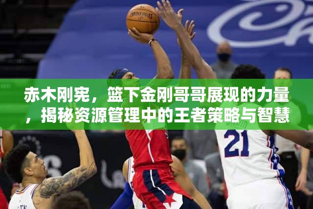 赤木刚宪，篮下金刚哥哥展现的力量，揭秘资源管理中的王者策略与智慧