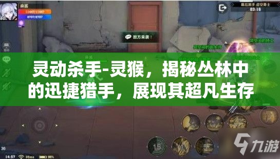 灵动杀手-灵猴，揭秘丛林中的迅捷猎手，展现其超凡生存技能