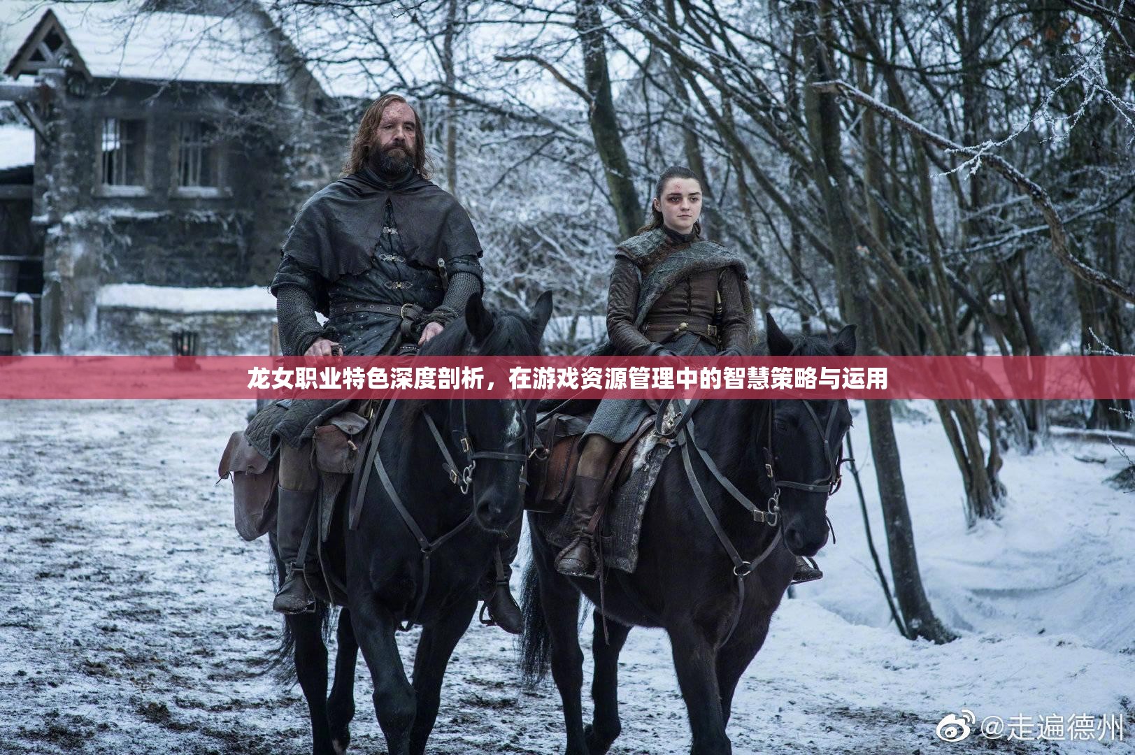 龙女职业特色深度剖析，在游戏资源管理中的智慧策略与运用