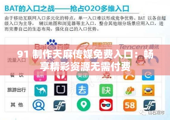 91 制作天麻传媒免费入口：畅享精彩资源无需付费