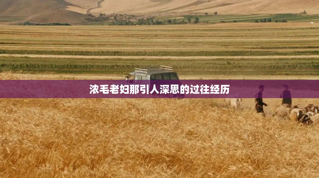 浓毛老妇那引人深思的过往经历