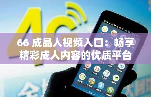 66 成品人视频入口：畅享精彩成人内容的优质平台