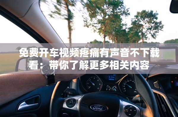 免费开车视频疼痛有声音不下载看：带你了解更多相关内容