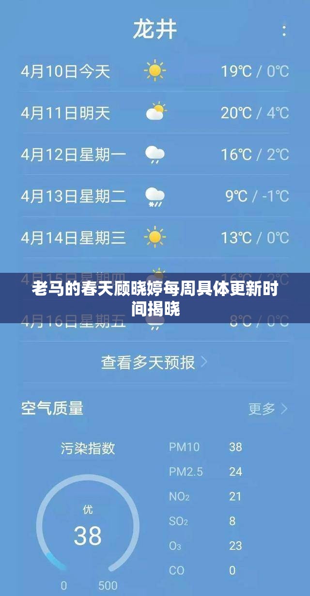 老马的春天顾晓婷每周具体更新时间揭晓