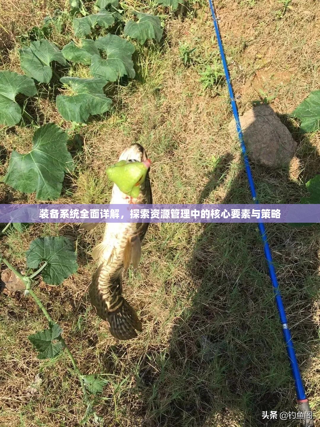 装备系统全面详解，探索资源管理中的核心要素与策略