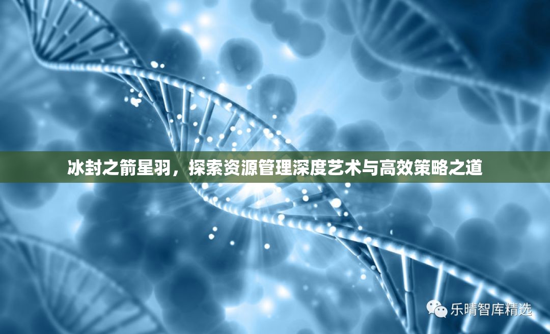冰封之箭星羽，探索资源管理深度艺术与高效策略之道