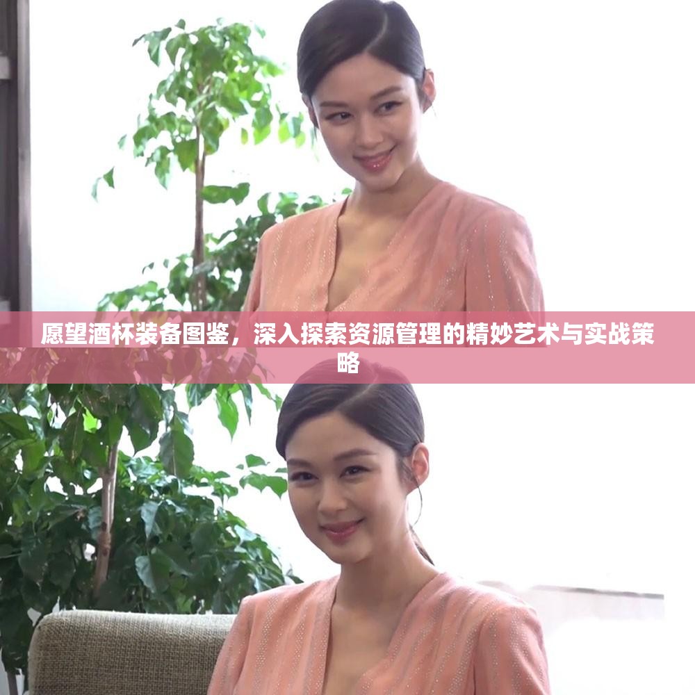 愿望酒杯装备图鉴，深入探索资源管理的精妙艺术与实战策略