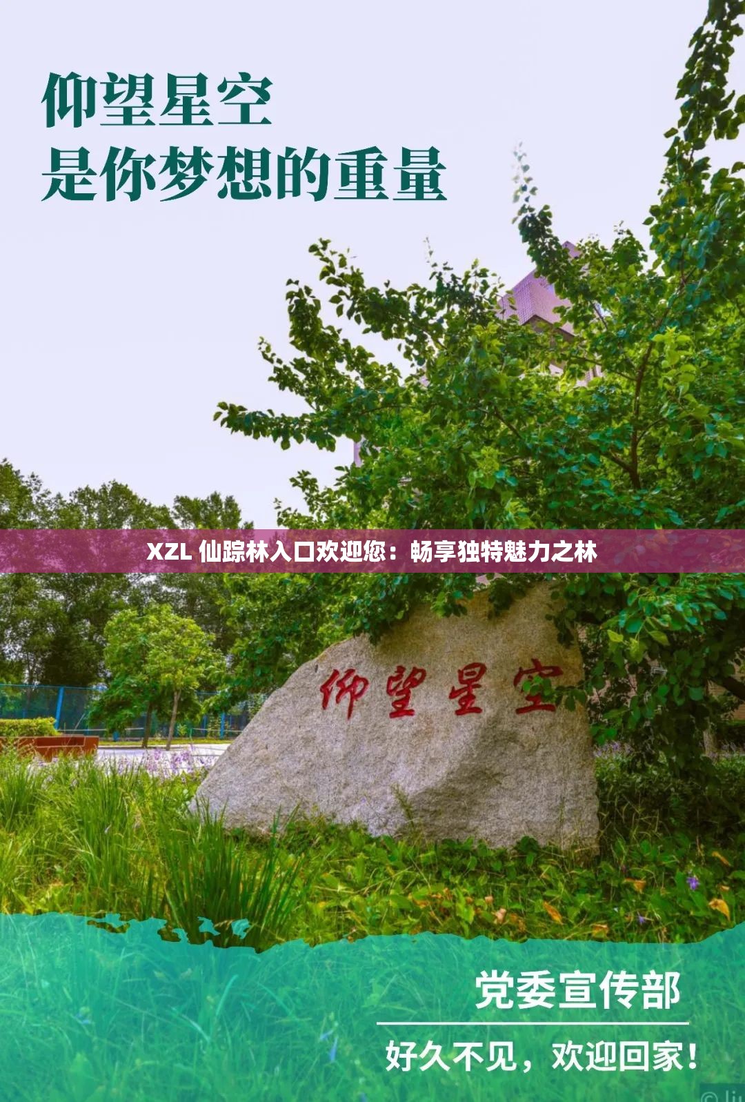 XZL 仙踪林入口欢迎您：畅享独特魅力之林