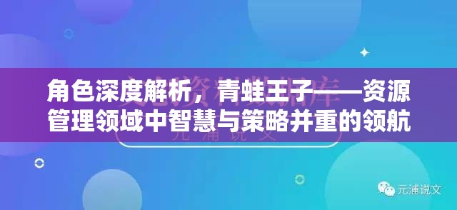 角色深度解析，青蛙王子——资源管理领域中智慧与策略并重的领航者