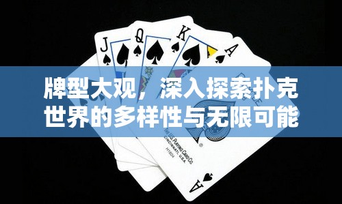 牌型大观，深入探索扑克世界的多样性与无限可能性