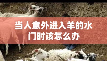 当人意外进入羊的水门时该怎么办
