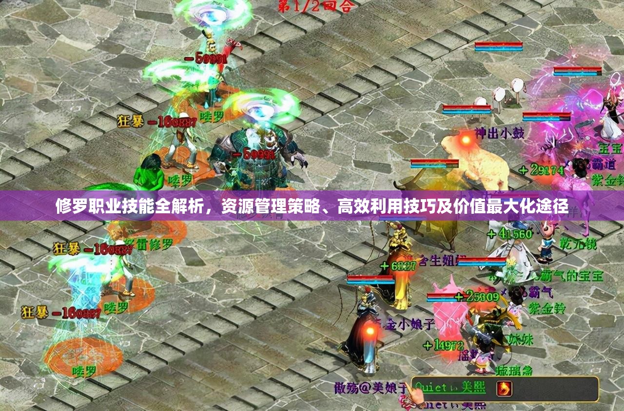 修罗职业技能全解析，资源管理策略、高效利用技巧及价值最大化途径