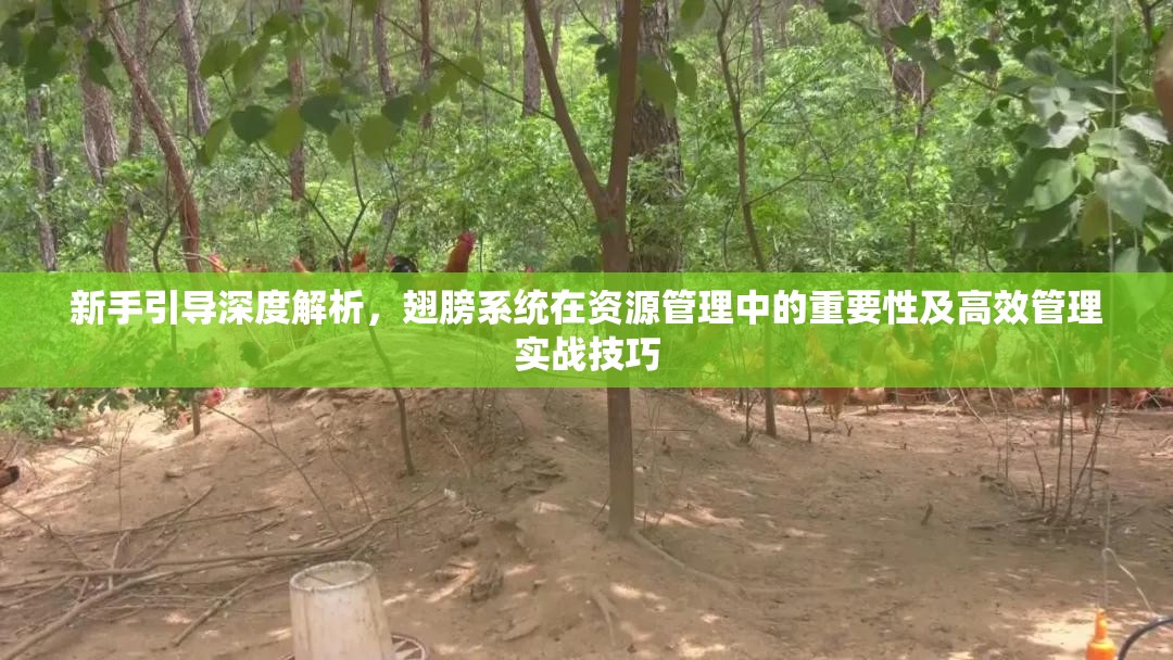新手引导深度解析，翅膀系统在资源管理中的重要性及高效管理实战技巧