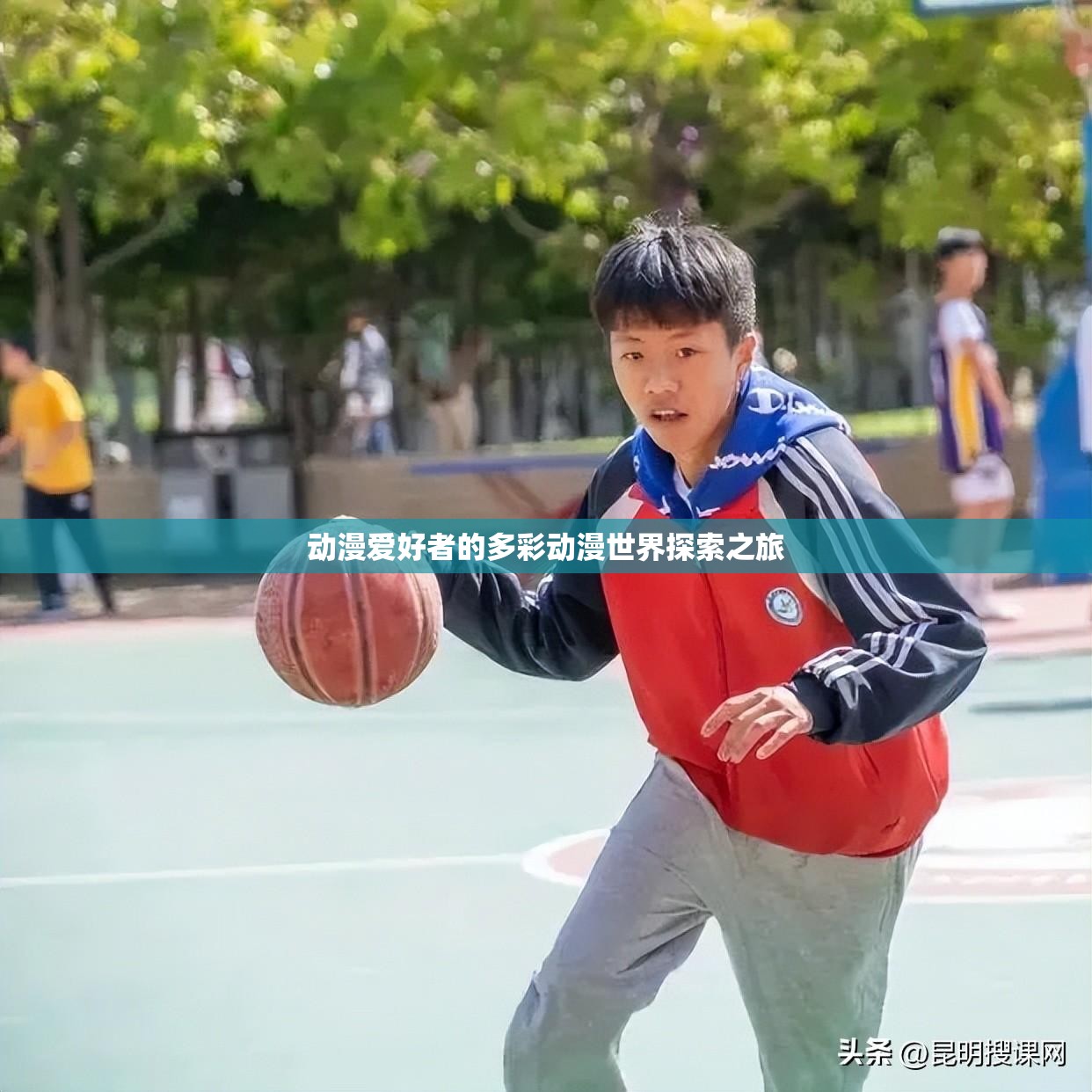 动漫爱好者的多彩动漫世界探索之旅