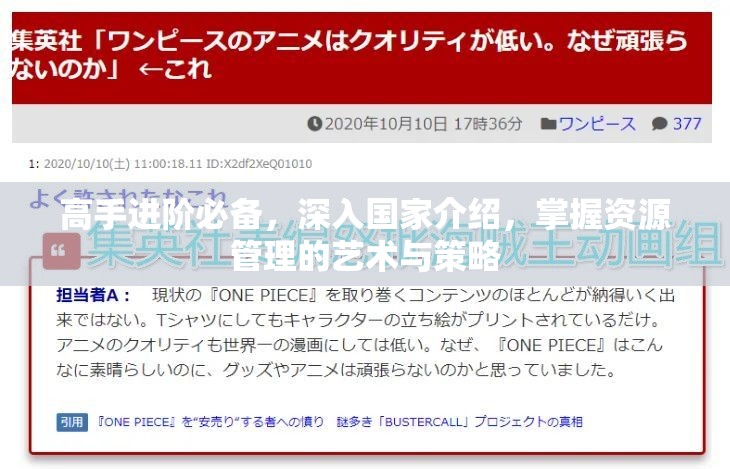 高手进阶必备，深入国家介绍，掌握资源管理的艺术与策略