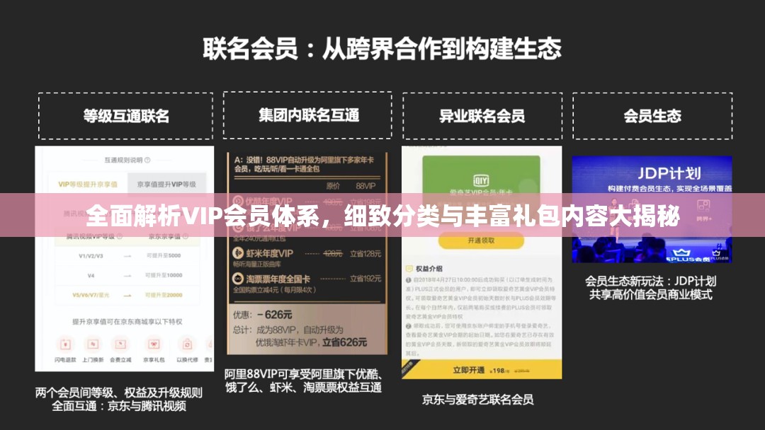 全面解析VIP会员体系，细致分类与丰富礼包内容大揭秘