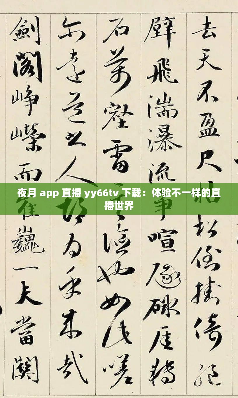 夜月 app 直播 yy66tv 下载：体验不一样的直播世界