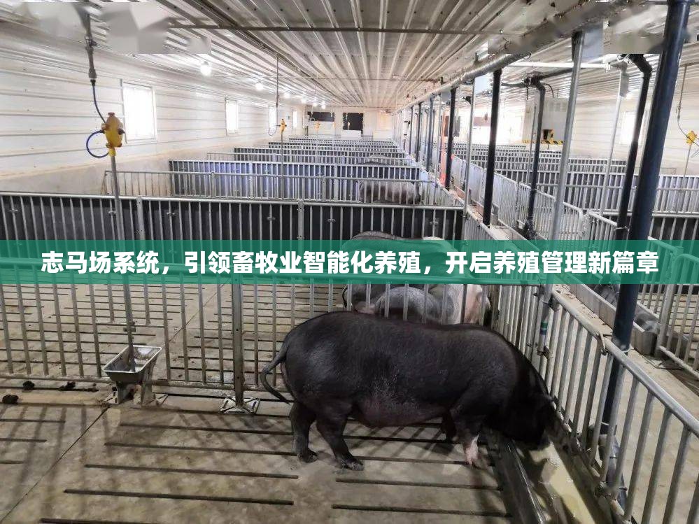 志马场系统，引领畜牧业智能化养殖，开启养殖管理新篇章