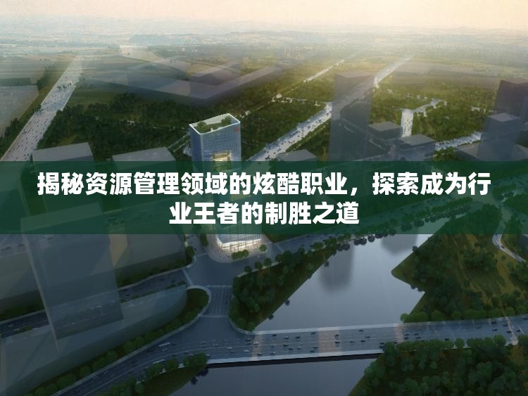 揭秘资源管理领域的炫酷职业，探索成为行业王者的制胜之道