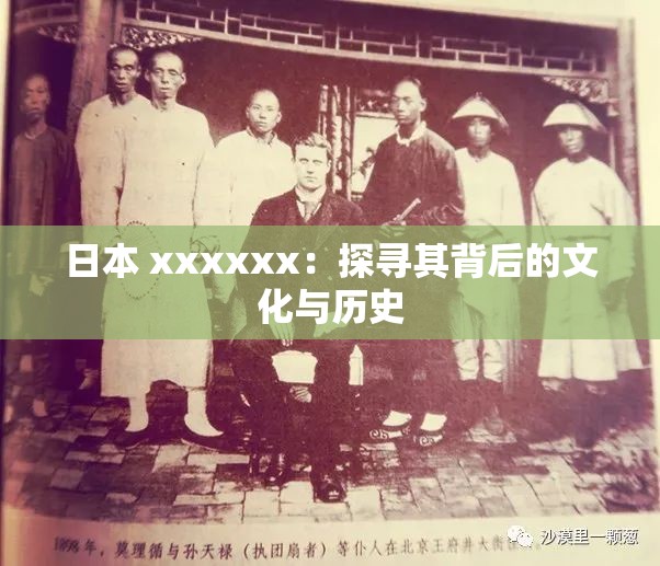日本 xxxxxx：探寻其背后的文化与历史