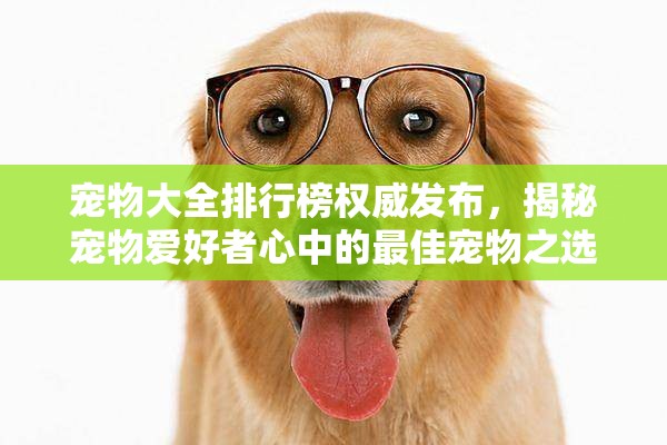 宠物大全排行榜权威发布，揭秘宠物爱好者心中的最佳宠物之选No.1