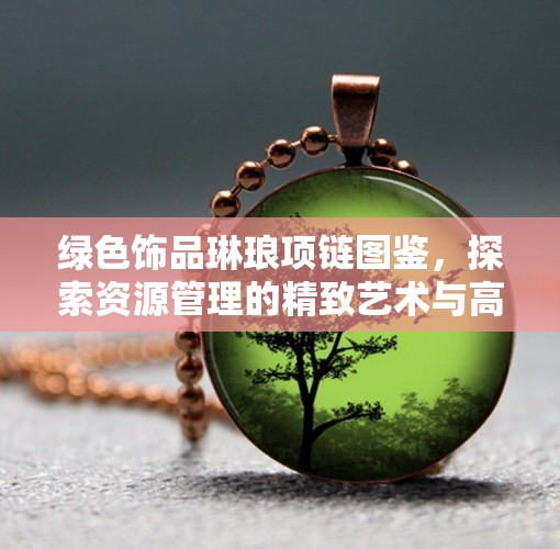 绿色饰品琳琅项链图鉴，探索资源管理的精致艺术与高效策略