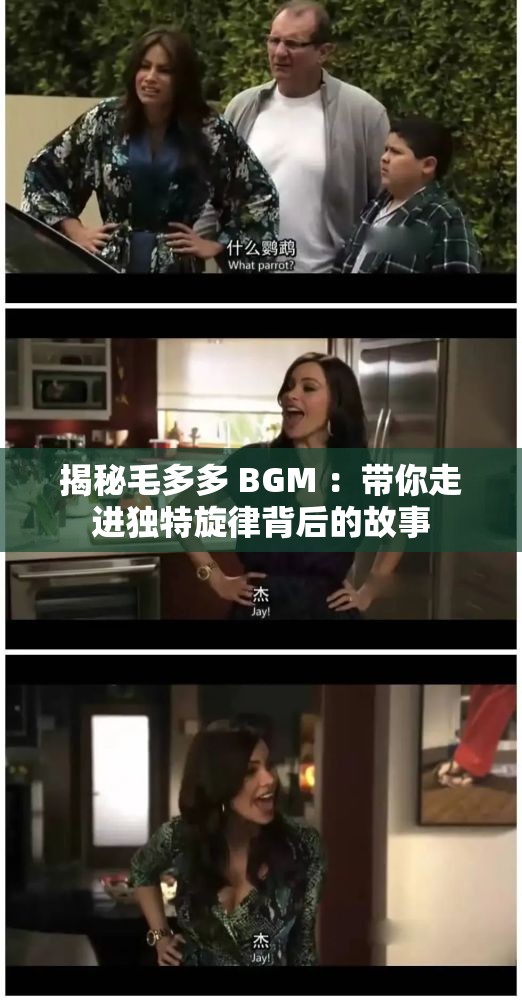 揭秘毛多多 BGM ：带你走进独特旋律背后的故事