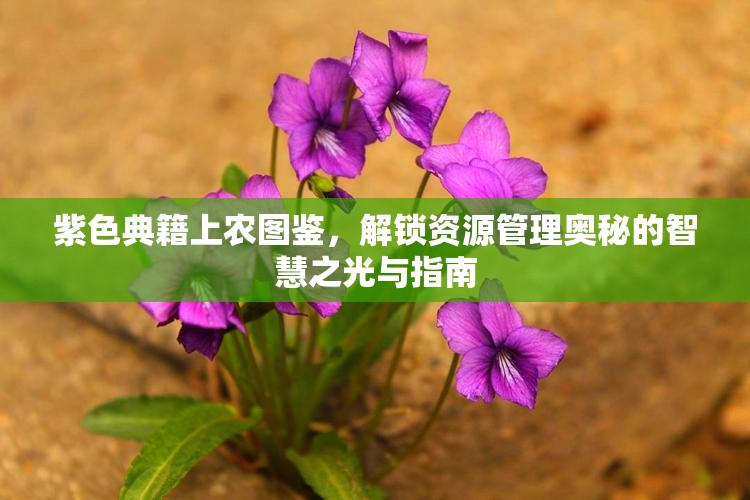 紫色典籍上农图鉴，解锁资源管理奥秘的智慧之光与指南