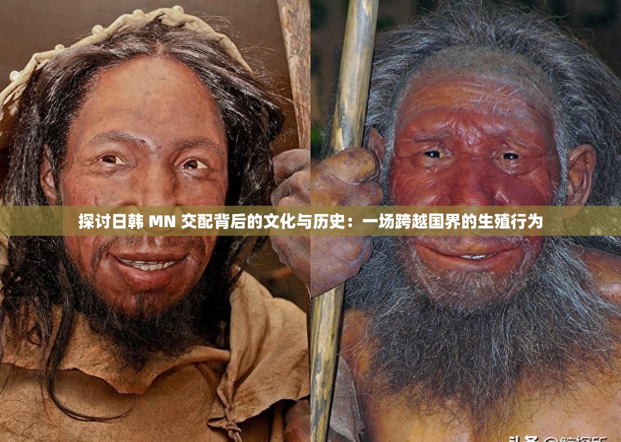探讨日韩 MN 交配背后的文化与历史：一场跨越国界的生殖行为