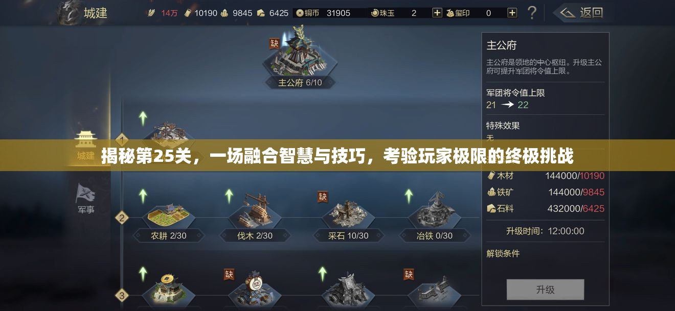 揭秘第25关，一场融合智慧与技巧，考验玩家极限的终极挑战