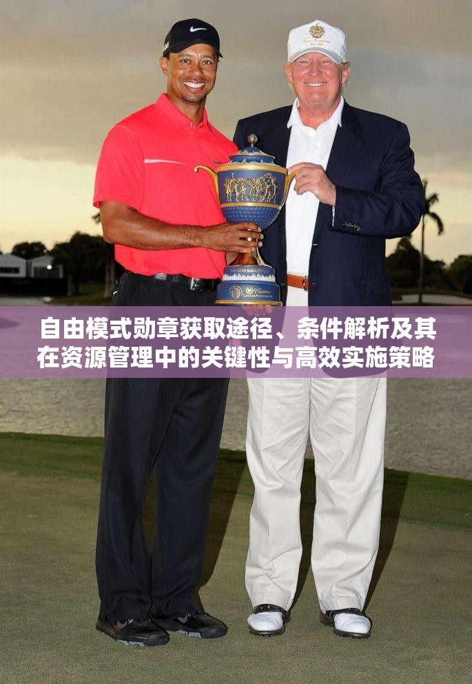 自由模式勋章获取途径、条件解析及其在资源管理中的关键性与高效实施策略